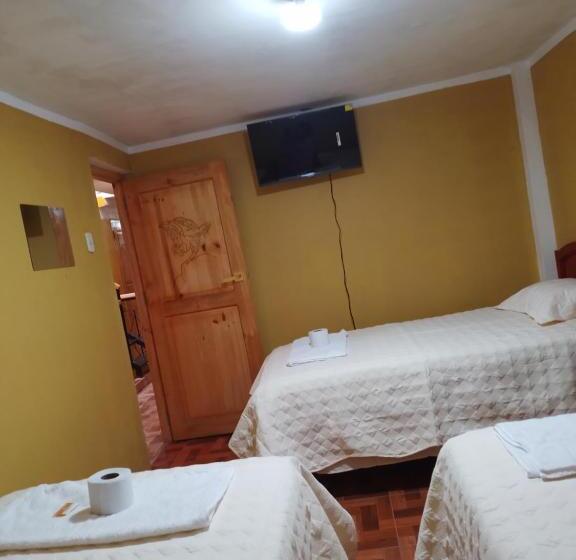 اتاق کلاسیک سه تخته, Dream House B&b