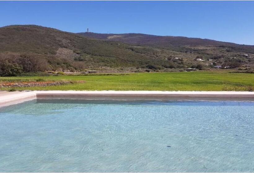 خانه 2 خوابه, 2 Gatti   Sogno