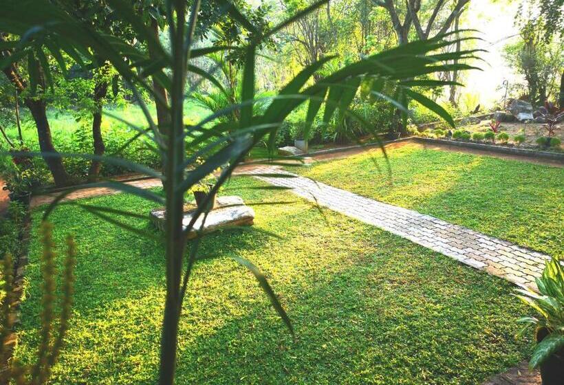 اتاق لوکس, The Cattleya Guest House Sigiriya