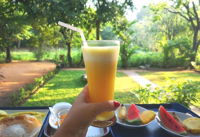 اتاق لوکس, The Cattleya Guest House Sigiriya