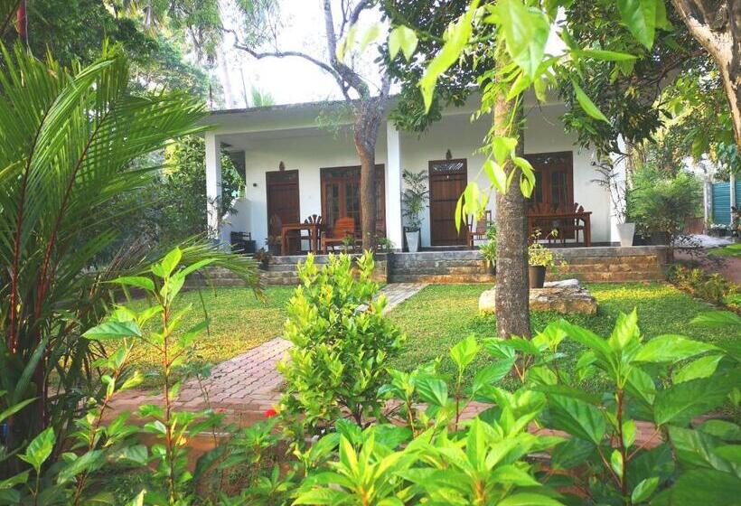 اتاق لوکس, The Cattleya Guest House Sigiriya
