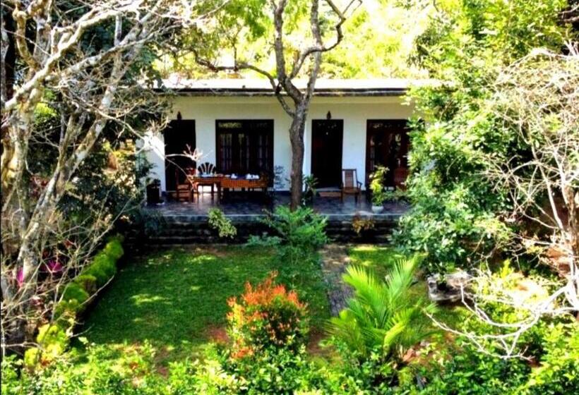 اتاق لوکس, The Cattleya Guest House Sigiriya