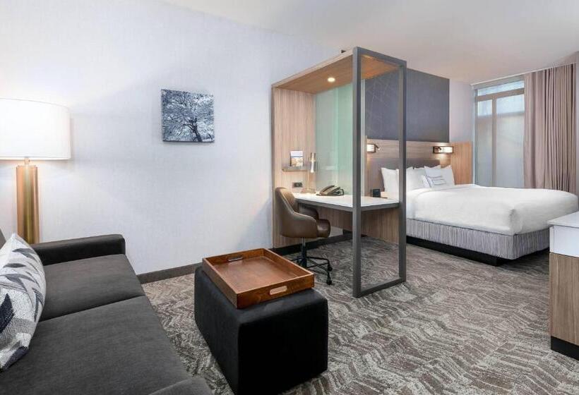 Люкс Кровать Кинг, Springhill Suites By Marriott Indianapolis Westfield