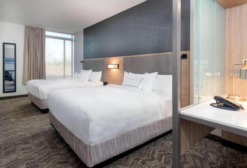Люкс 2 Спальни, Springhill Suites By Marriott Indianapolis Westfield