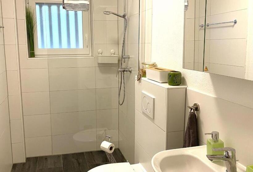 스탠다드 룸, Pension Am Hohberghof Dielheim