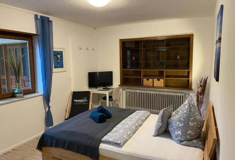 스탠다드 싱글 룸, Pension Am Hohberghof Dielheim