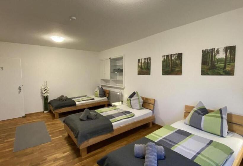 패밀리 룸, Pension Am Hohberghof Dielheim