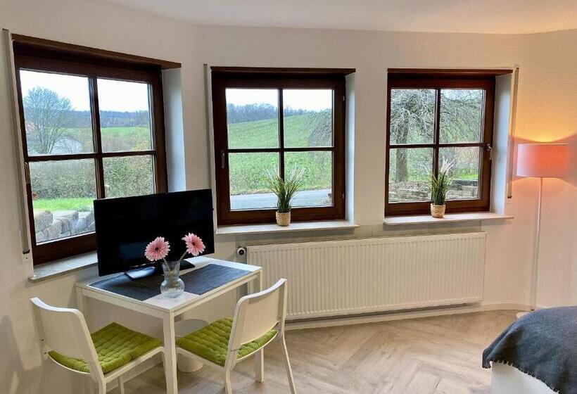 스탠다드 스튜디오 정원 전망, Pension Am Hohberghof Dielheim