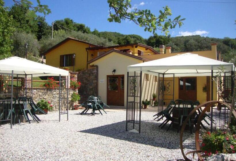 Номер Стандарт, La Sarticola