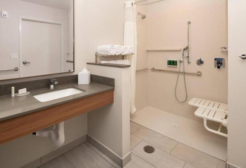 스탠다드 룸 킹사이즈 침대, Fairfield Inn & Suites By Marriott Wenatchee