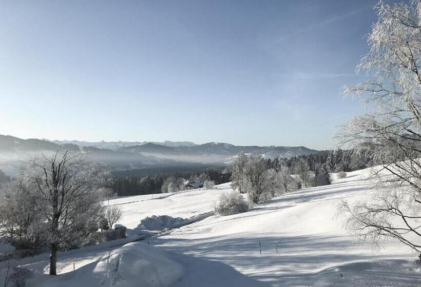 Полулюкс с Балконом, Alpenloge Design
