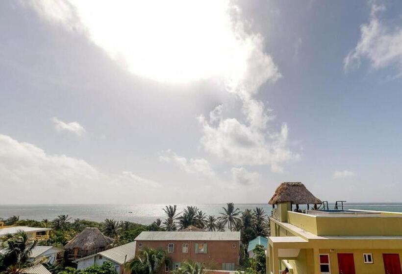 آپارتمان 1 خوابه, Laguna