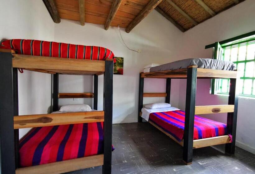 ルームシェアのワンベッド, Hostel Once Once
