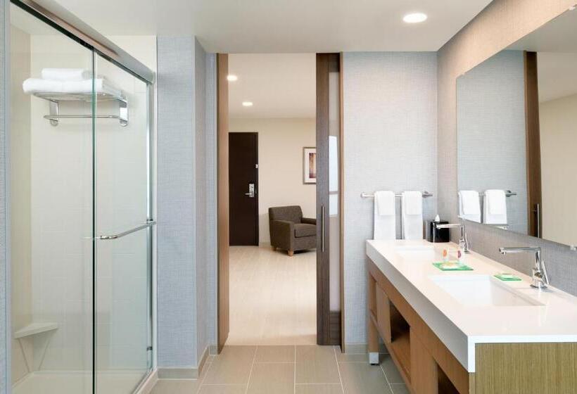 Suíte Cama King, Hyatt Place Pasadena