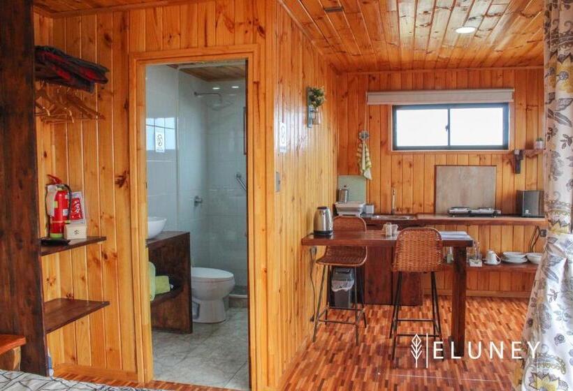 Апартаменты 1 Спальня с Террасой, Eluney Pichilemu