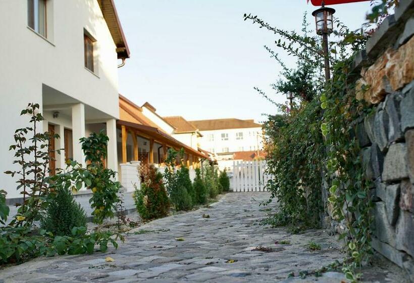 غرفة قياسية, Pensiunea Rustic