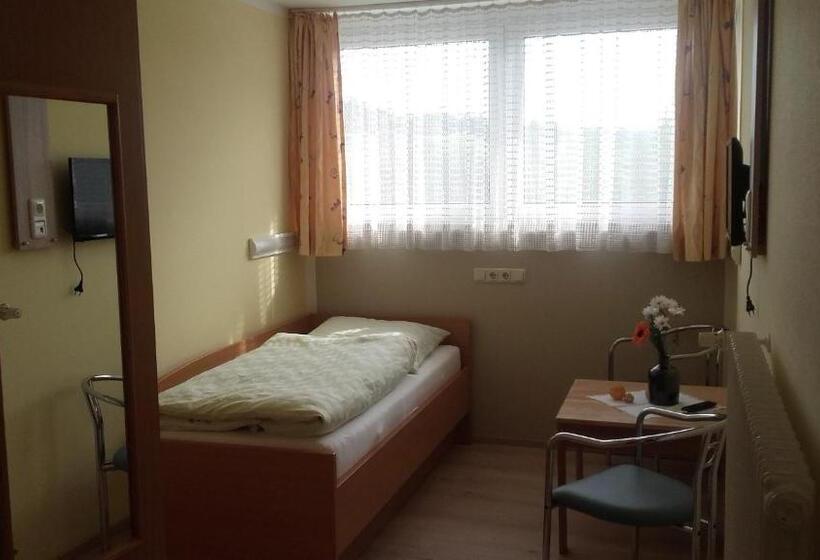 Номер Стандарт Индивидуальный, Pension Freizeitzentrum Sambachshof