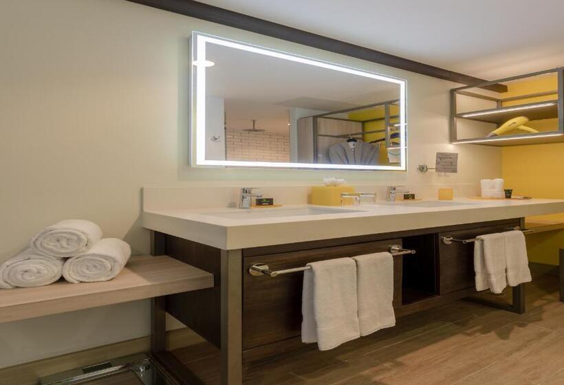 اتاق لوکس با تخت بزرگ, Hyatt Centric San Salvador