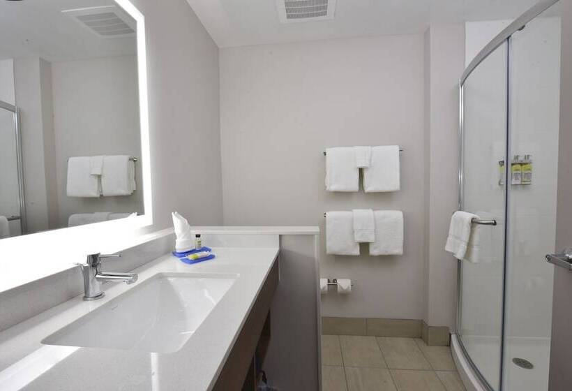 套房, Holiday Inn Express & Suites   Orlando   Southeast, An Ihg