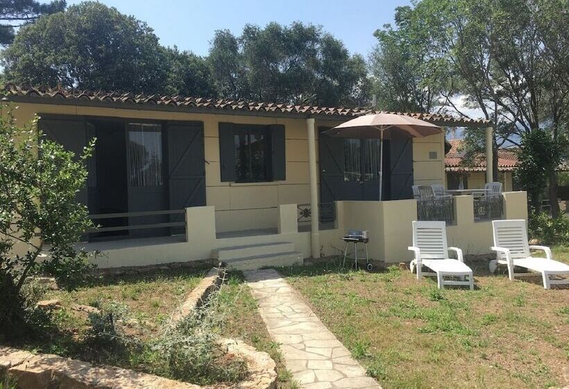 Апартаменты 1 Спальня, Bungalows Filippi