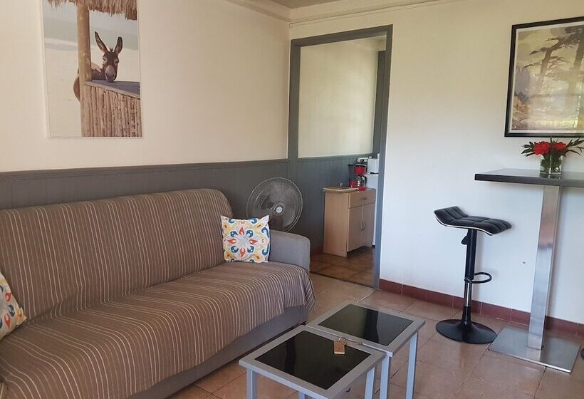 Студия Стандарт, Bungalows Filippi