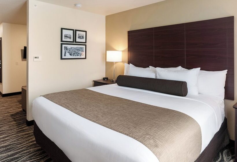 스탠다드 스튜디오, Cobblestone Hotel & Suites Appleton International Airport