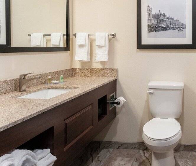 스탠다드 룸, Cobblestone Hotel & Suites Appleton International Airport