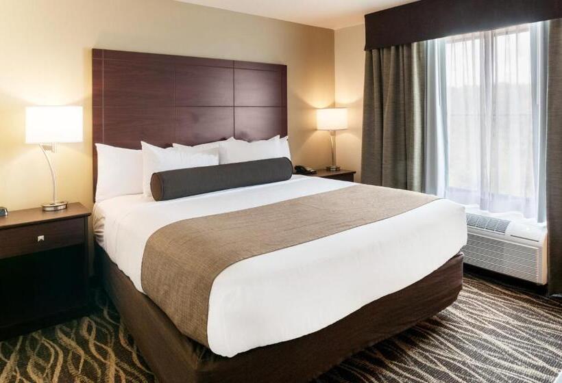 스탠다드 스튜디오 킹침대, Cobblestone Hotel & Suites Appleton International Airport