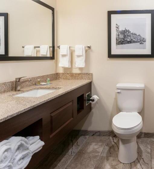 디럭스 스위트, Cobblestone Hotel & Suites Appleton International Airport