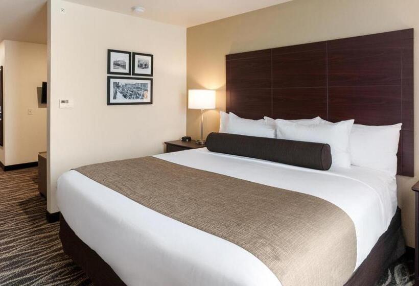 스탠다드 스튜디오, Cobblestone Hotel & Suites Appleton International Airport
