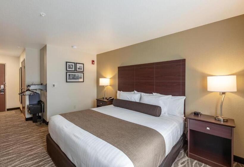 장애인을 위한 킹사이즈 침대 스탠다드 룸, Cobblestone Hotel & Suites Appleton International Airport