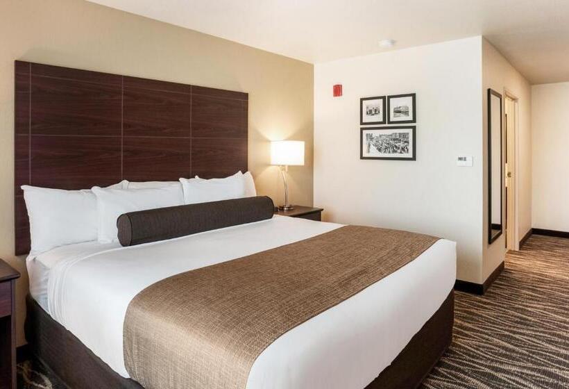 스탠다드 룸 킹사이즈 침대, Cobblestone Hotel & Suites Appleton International Airport
