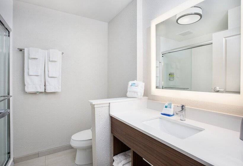 장애인을 위한 스위트, Holiday Inn Express & Suites   Lexington W   Versailles, An Ihg