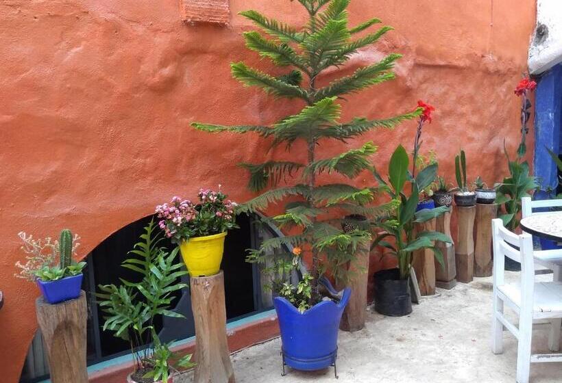 اتاق استاندارد با تخت بزرگ, Riad Lola