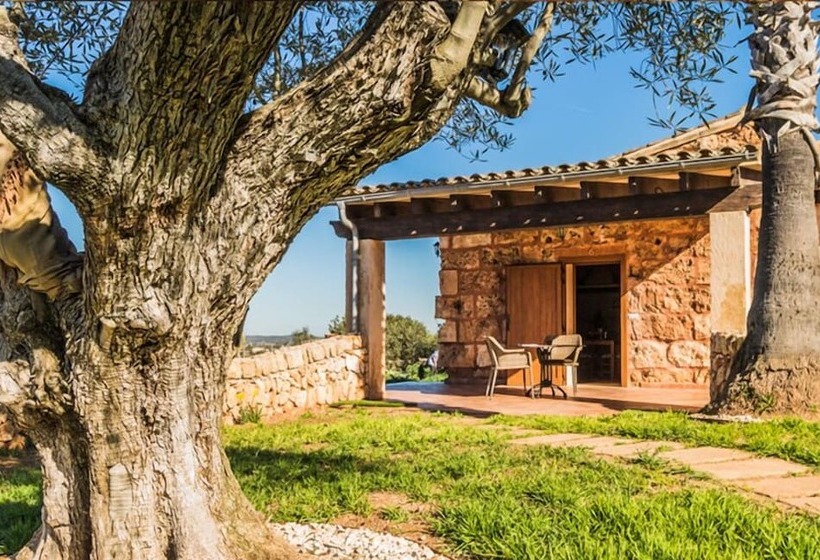Полулюкс Вид на Горы, Agroturismo Es Gallicant