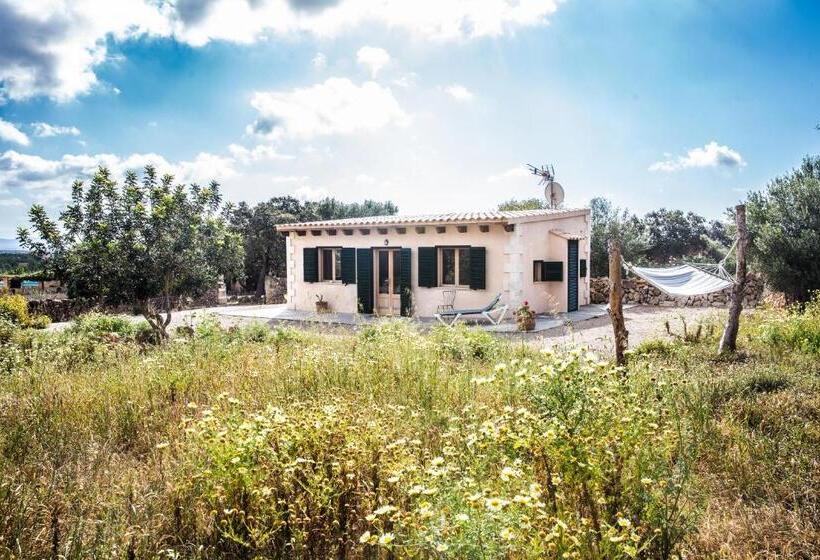 Standard bungalow with terrace, Finca Agroturismo Sa Cova Den Borino