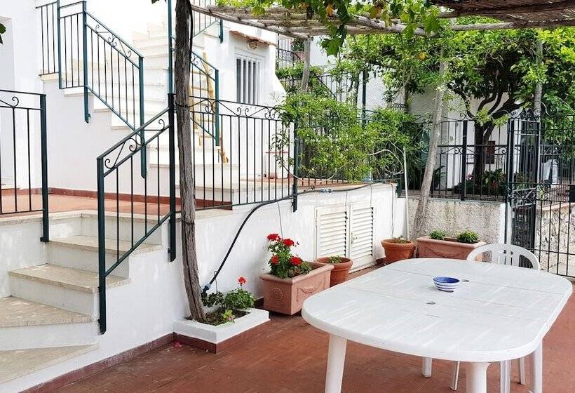 带1个卧室的经典公寓, Amalfi Hills