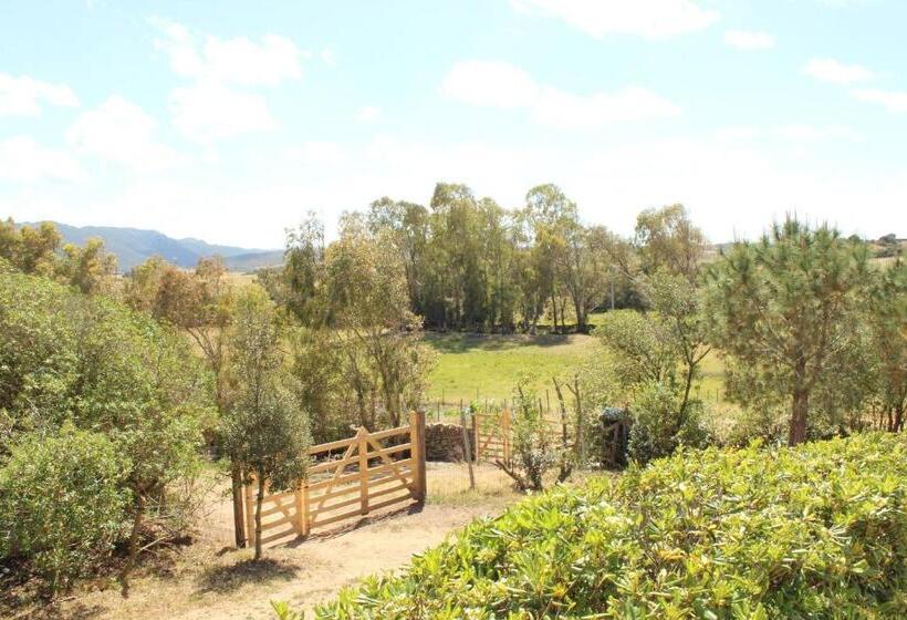 Студио Стандарт Вид на Сад, Agriturismo Campesi Casale Tra Le Vigne