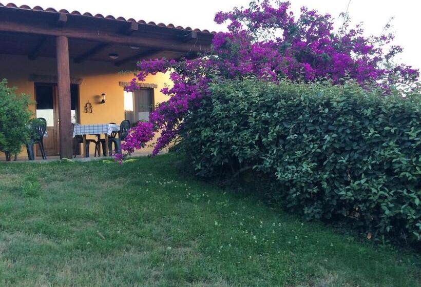 Студио Стандарт с Террасой, Agriturismo Campesi Casale Tra Le Vigne
