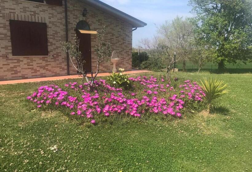 استودیو استاندارد با چشم‌انداز باغ, Agriturismo Bio Verde Armonia
