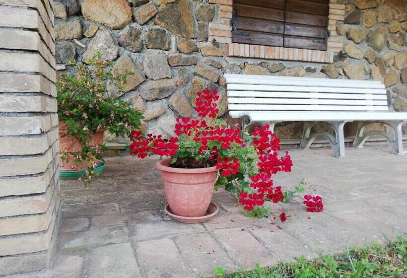 ２ベッドルームアパートメント, Agriturismo Il Morello