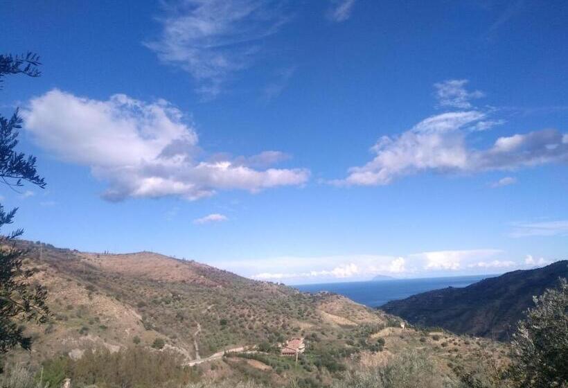 خانه 1 خوابه, L'uliveto