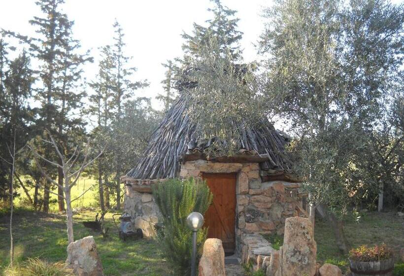 Номер Basic, Munduge B&b