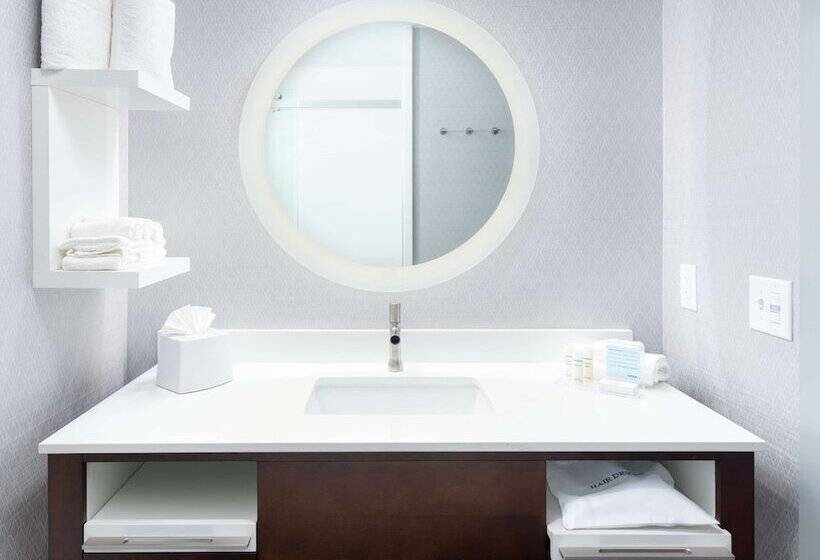 장애인을 위한 스탠다드 룸, Hampton Inn & Suites Atlanta  Decatur/emory