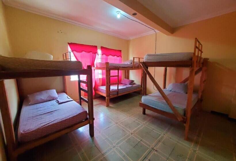 اتاق استاندارد با سرویس بهداشتی مشترک, Pool House Hostel