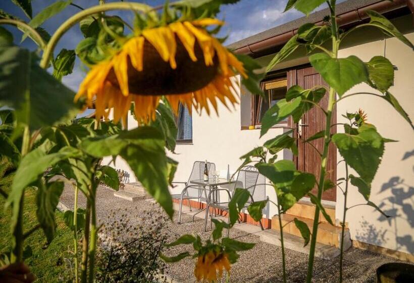 Бунгало Стандарт, Pension Rauschberghof