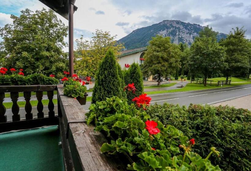 Номер Стандарт с Балконом, Pension Rauschberghof