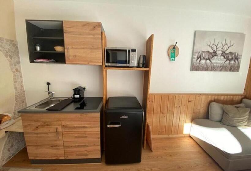 Студия Стандарт, Alpenappartements Schwalbennestl