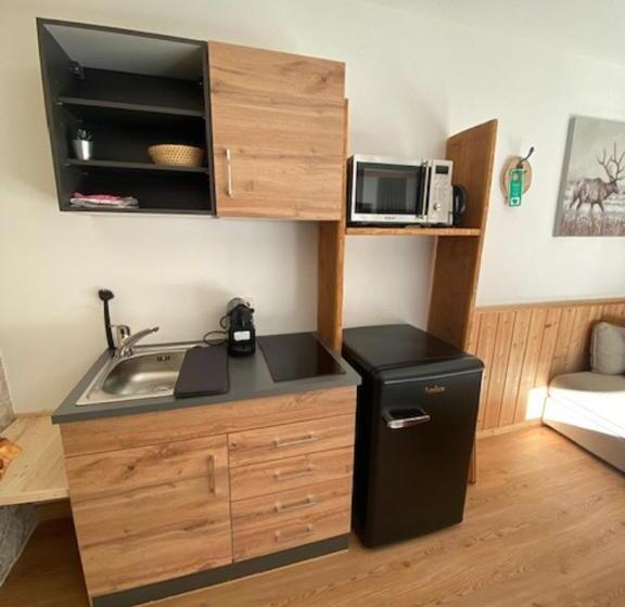 Студия Стандарт, Alpenappartements Schwalbennestl