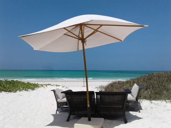 غرفة ديلوكس, New Iddi Villa